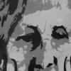 DSCN3109-Copier-