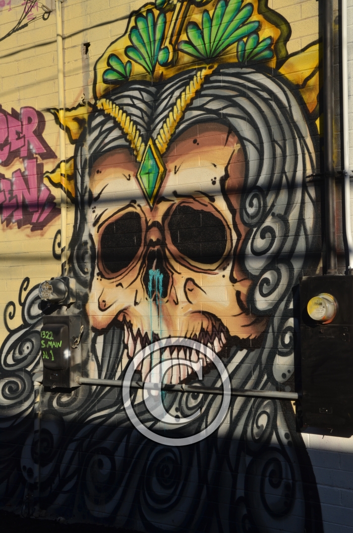 DSC_8078