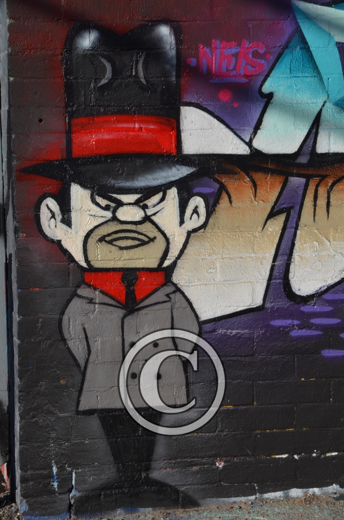 DSC_8087