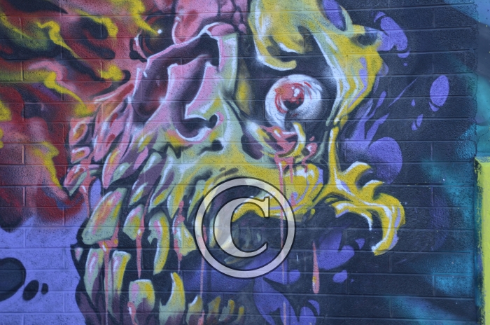 DSC_8093