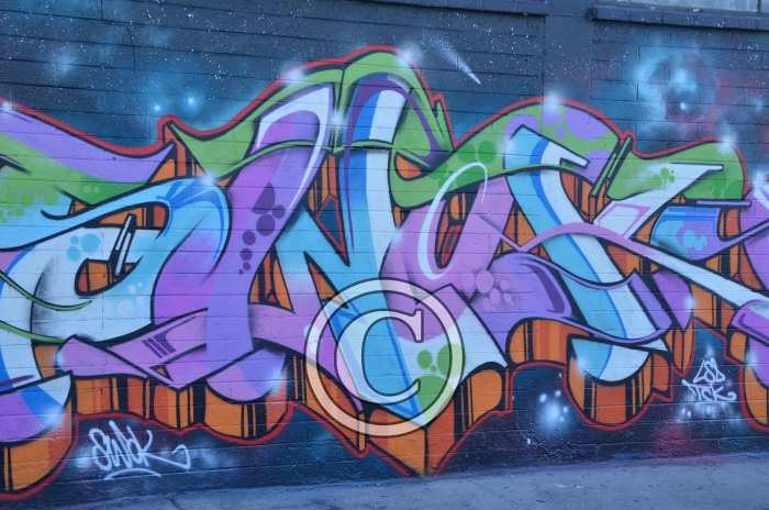 DSC_8101