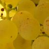 DSCN3284
