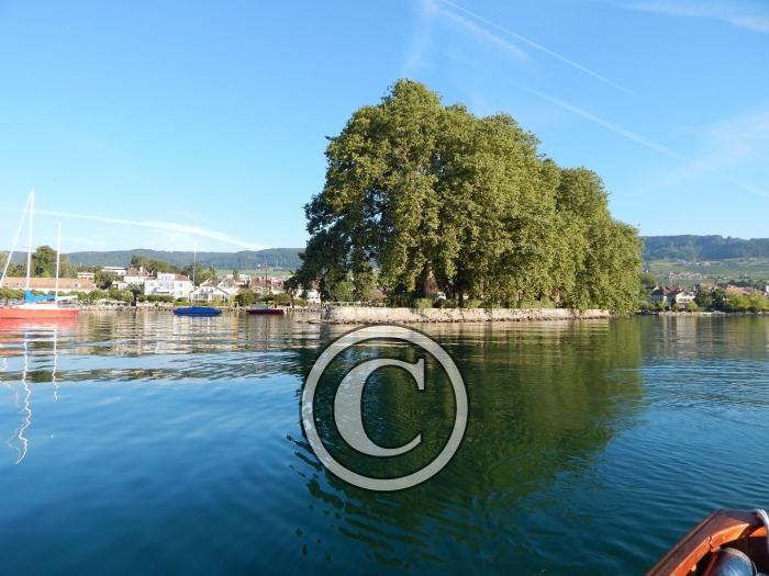 DSCN0860-Copier-