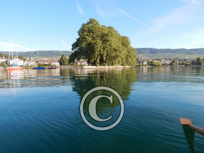 DSCN0863-Copier-