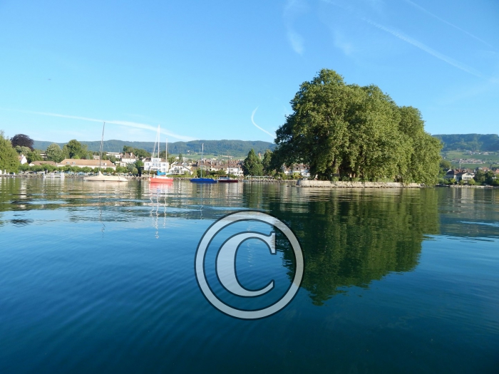 DSCN0864-Copier-