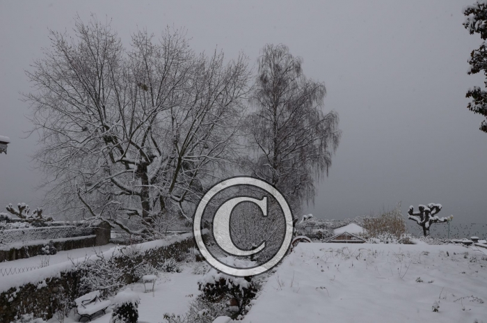 DSC_0475-Copier-