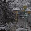 DSC_0479-Copier-