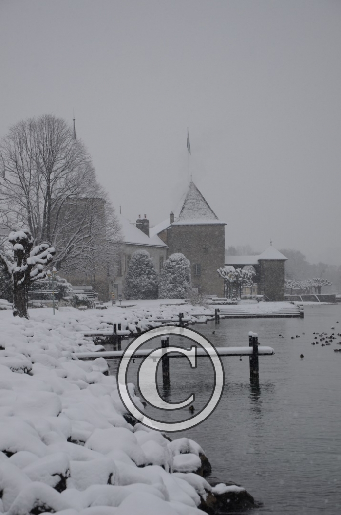 DSC_0480-Copier-