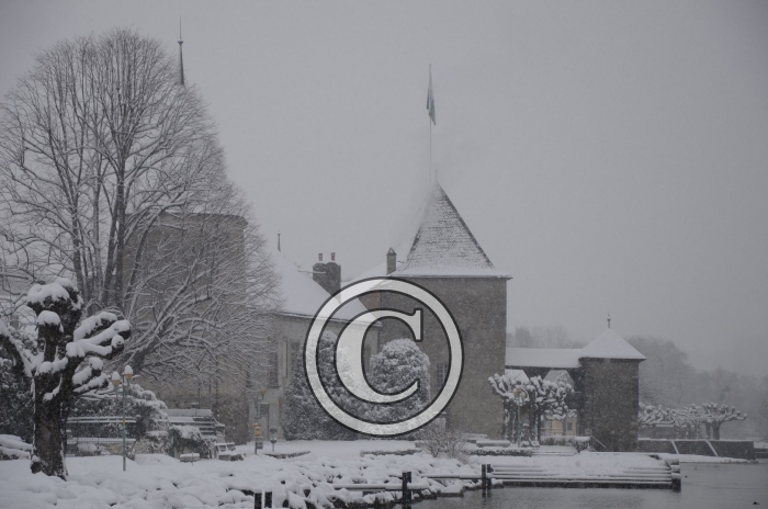 DSC_0481-Copier-