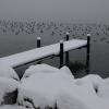 DSC_0482-Copier-