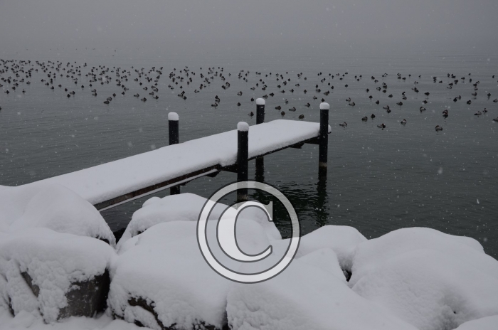 DSC_0482-Copier-