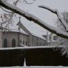 DSC_0484-Copier-
