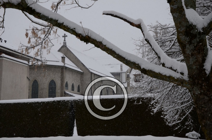 DSC_0484-Copier-
