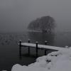 DSC_0486-Copier-