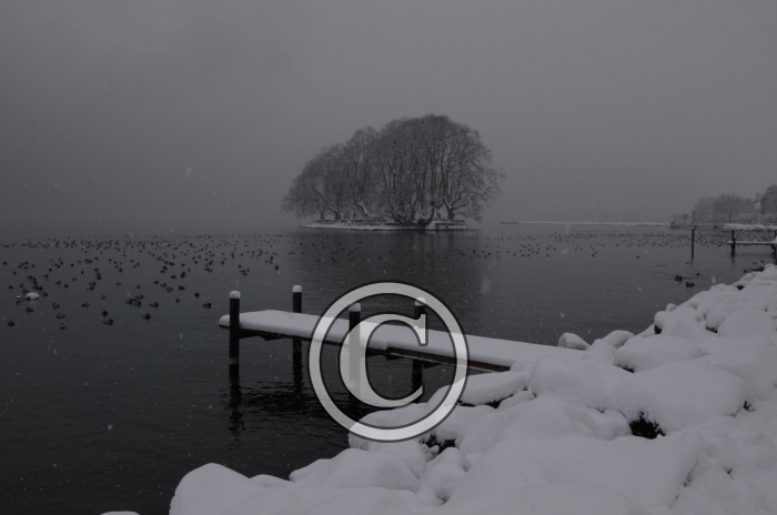 DSC_0486-Copier-