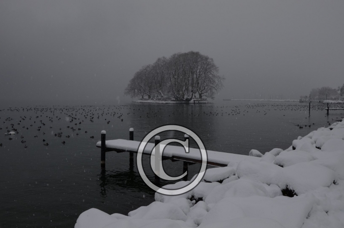DSC_0487-Copier-
