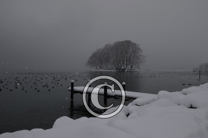 DSC_0488-Copier-