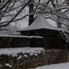 DSC_0489-Copier-