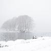 DSC_0491-Copier-
