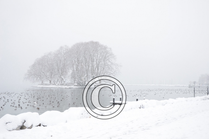 DSC_0491-Copier-
