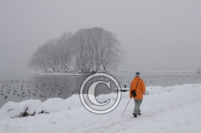 DSC_0492-Copier-