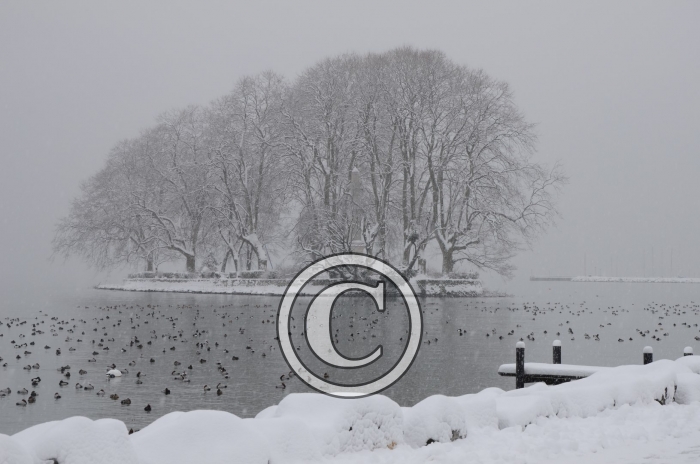 DSC_0493-Copier-