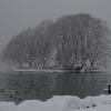 DSC_0494-Copier-