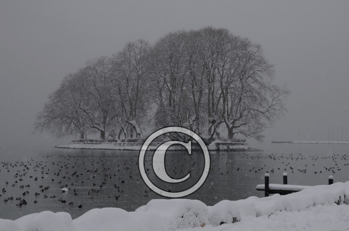 DSC_0494-Copier-