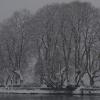 DSC_0495-Copier-