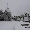 DSC_0498-Copier-