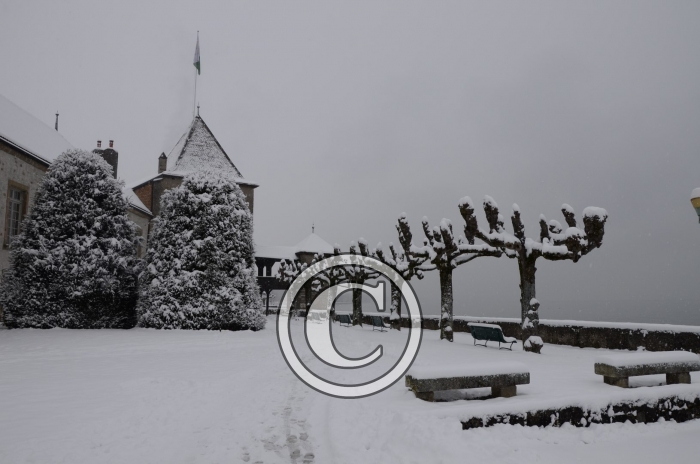 DSC_0498-Copier-