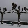 DSC_0499-Copier-