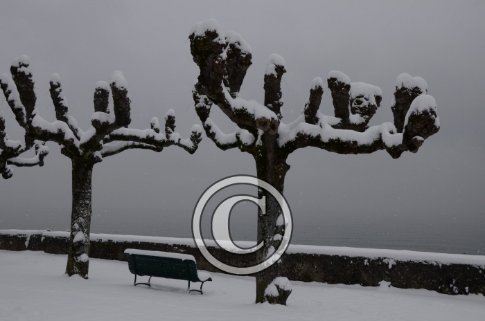 DSC_0499-Copier-