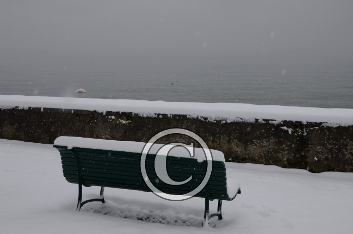 DSC_0500-Copier-