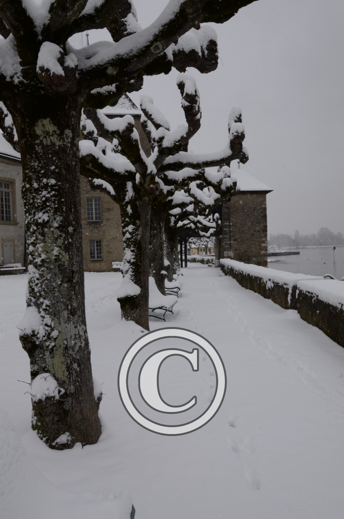 DSC_0504-Copier-