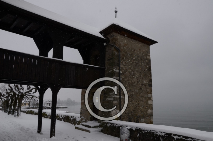 DSC_0506-Copier-