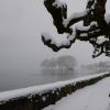 DSC_0507-Copier-