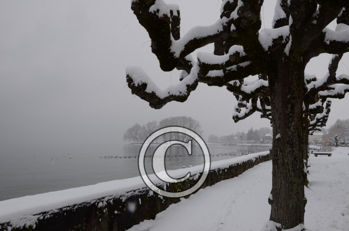 DSC_0507-Copier-