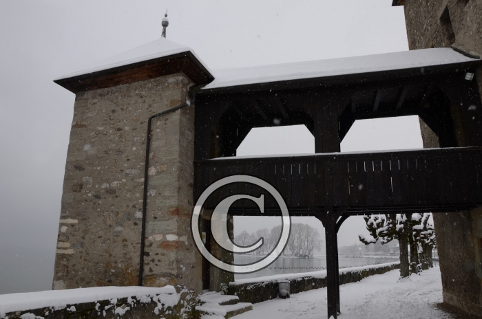 DSC_0511-Copier-