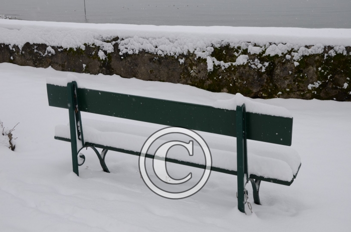 DSC_0512-Copier-