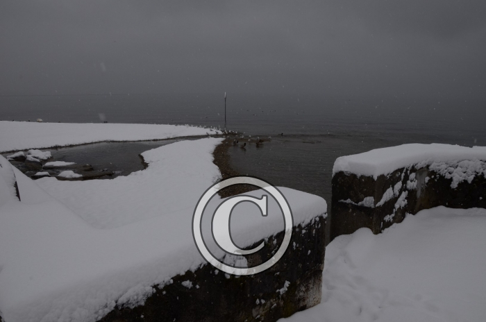 DSC_0513-Copier-