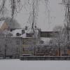 DSC_0514-Copier-