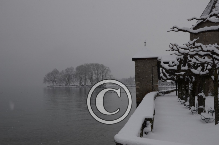 DSC_0515-Copier-