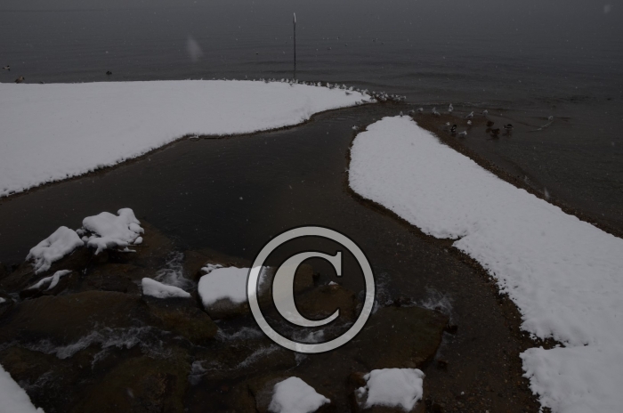 DSC_0516-Copier-