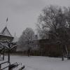 DSC_0517-Copier-
