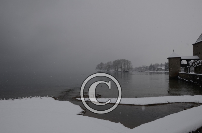DSC_0519-Copier-