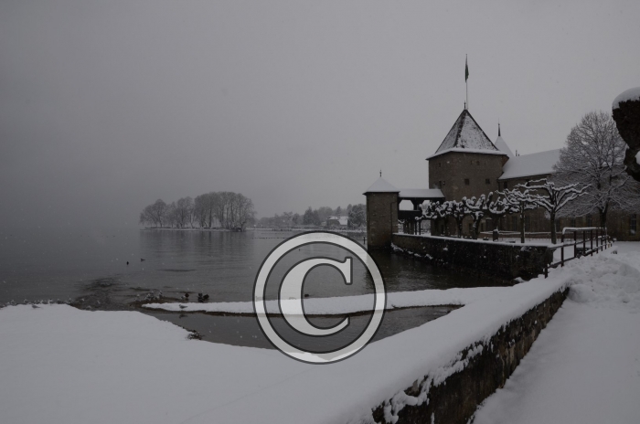 DSC_0520-Copier-