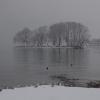 DSC_0532-Copier-