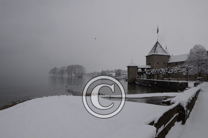 DSC_0533-Copier-