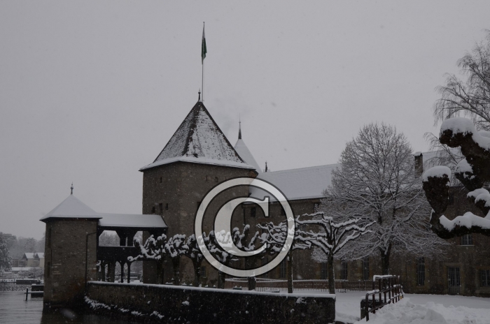 DSC_0537-Copier-